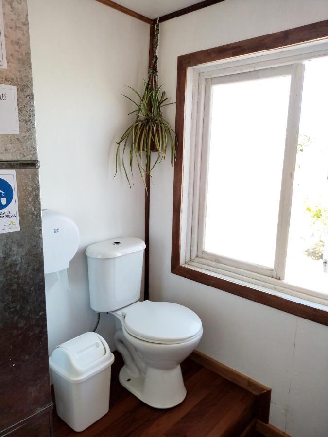 Hostel Notro 瓦尔迪维亚 外观 照片