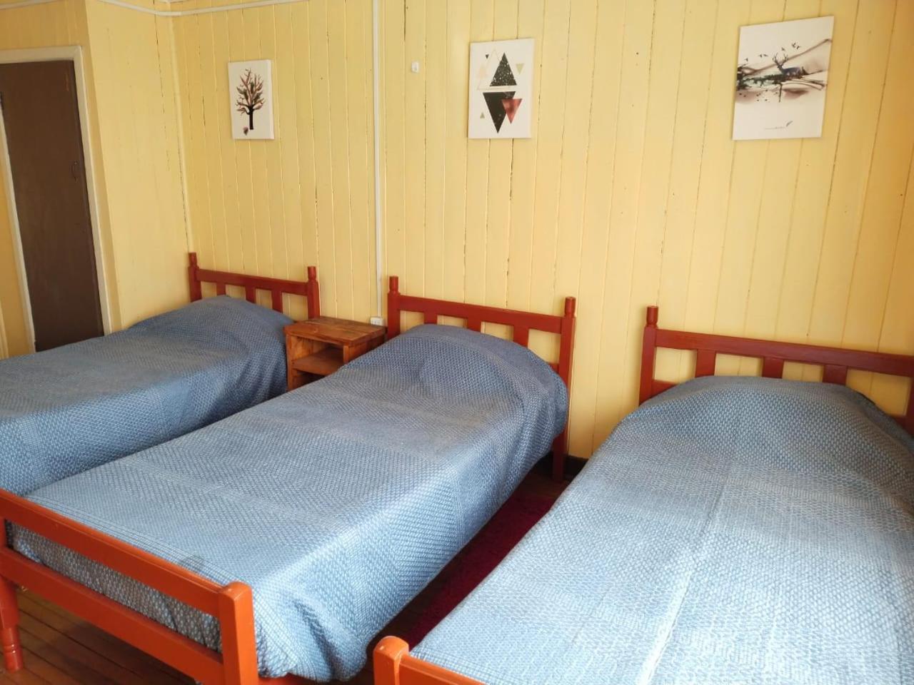 Hostel Notro 瓦尔迪维亚 外观 照片