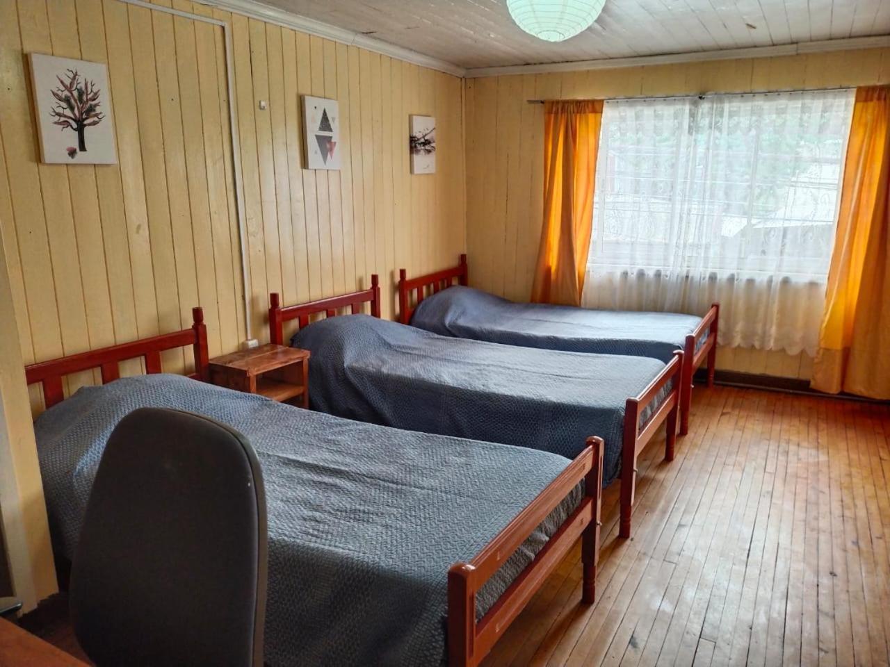 Hostel Notro 瓦尔迪维亚 外观 照片